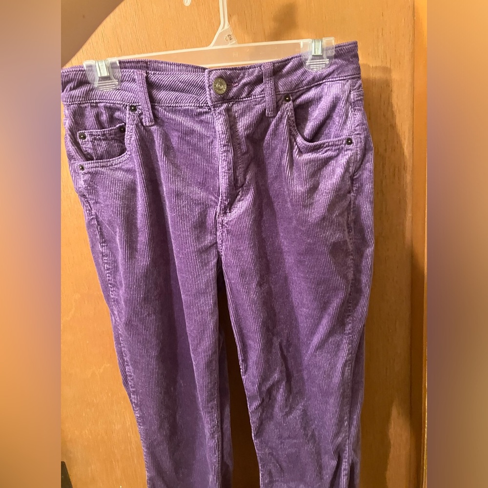 Urban Outfitters purple velvet flare pants